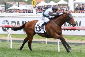 Boom Time stunned punters to record an upset win in the 2017 Caulfield Cup. Photo by: Ultimate Racing Photos