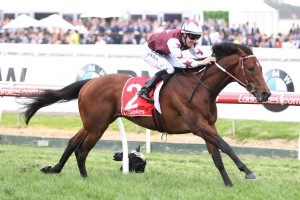Cliff's Edge, above, leads all of the way to the Ladbrokes Classic at Caulfield. Photo by Ultimate Racing Photos.