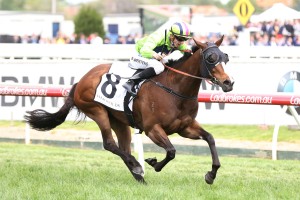 Snitty Kitty was nothing short of outstanding in the 2017 Caulfield Sprint. Photo by: Ultimate Racing Photos