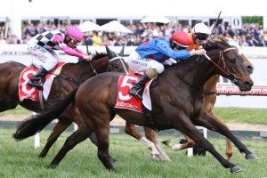 Moonga Stakes winner Ulmann, above, provided trainer Darren Weir with his fourth winner on Caulfield Cup Day. Photo by Ultimate Racing Photos. 