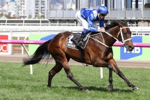 Winx, above, has seven rivals in the Ladbrokes Cox Plate following the scratching of Kaspersky. Photo by Ultimate Racing Photos.