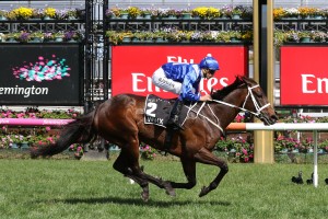 Winx, above, will line up in her 3rd Ladbrokes Cox Plate at The Valley in perfect shape. Photo by Ultimate Racing Photos. 