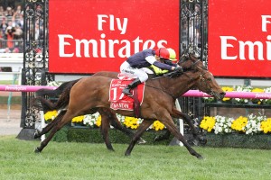 Frankie Dettori will ride Almandin, above, in the 2017 Melbourne Cup at Flemington. Photo by Ultimate Racing Photos.