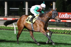 Jon Snow, above, will face off with stablemate Bonneval in the 2017 Caulfield Cup. Photo by Ultimate Racing Photos.