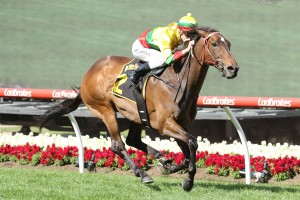 Lucky Hussler, above, is back in the winner's stall with victory in the Crystal Mile at The Valley. Photo by Ultimate Racing Photos. 