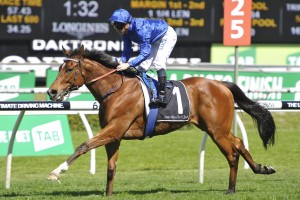 It's Somewhat, above, will appreciate the step up to the 1600m of the Crystal Mile at The Valley. Photo by Steve Hart.