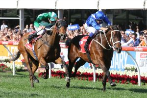 Winx beat Humidor to claim an historic victory in the 2017 Ladbrokes Cox Plate. Photo by: Ultimate Racing Photos