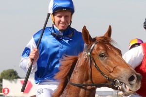 Kerrin McEvoy, above, rides Folkswood in the Emirates Stakes at Flemington. Photo by Daniel Costello.