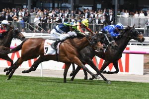 Luvaluva, above in blue and green colours, will now head to the VRC Oaks after wining the Wakeful Stakes at Flemington. Photo by Steve Hart.