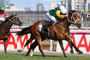 Shillelagh, above, wins the 2017 Kennedy Mile at Flemington. Photo by Ultimate Racing Photos. 