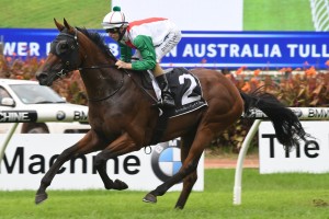 Kiwi stayer Jon Snow, above, is under an injury cloud for the 2017 Melbourne Cup at Flemington. Photo by Steve Hart.
