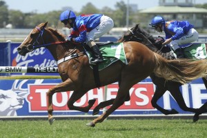 Kathy O'Hara and Single Gaze, above, will team up again in the 2017 Melbourne Cup at Flemington. Photo by Steve Hart.